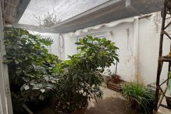 WhatsApp-Image-2026-04-06-at-6.57.59-PM-3